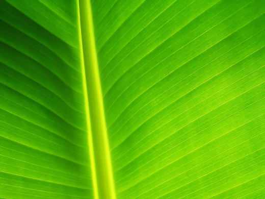 38483 (a): :1600x1200